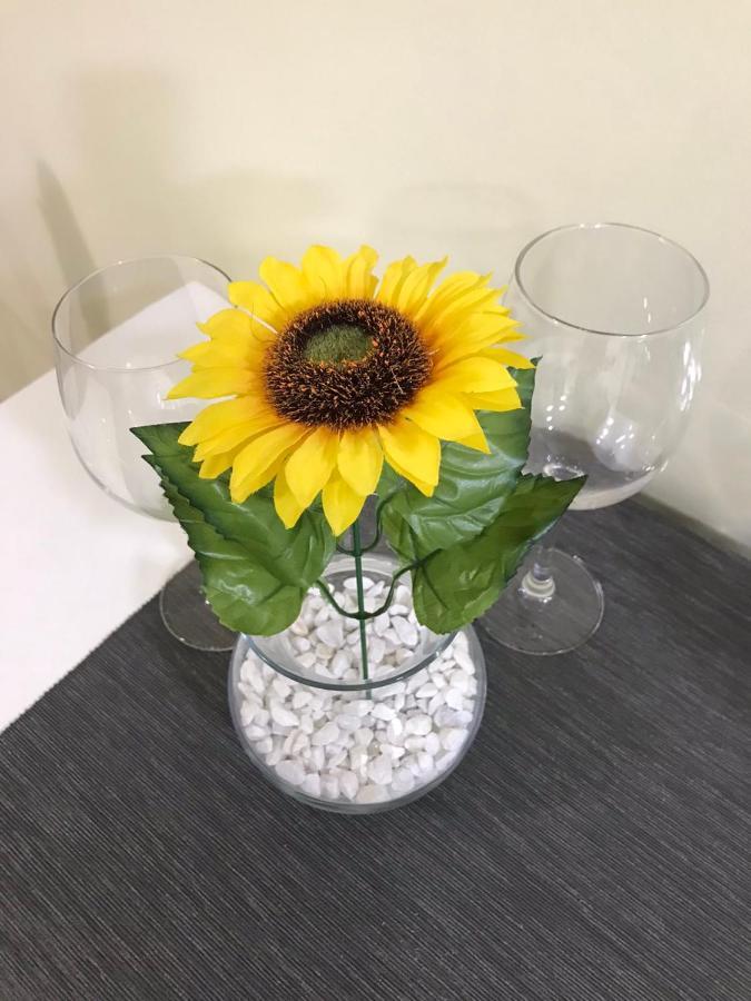 Apartment Sunflower021 ノヴィ・サド エクステリア 写真