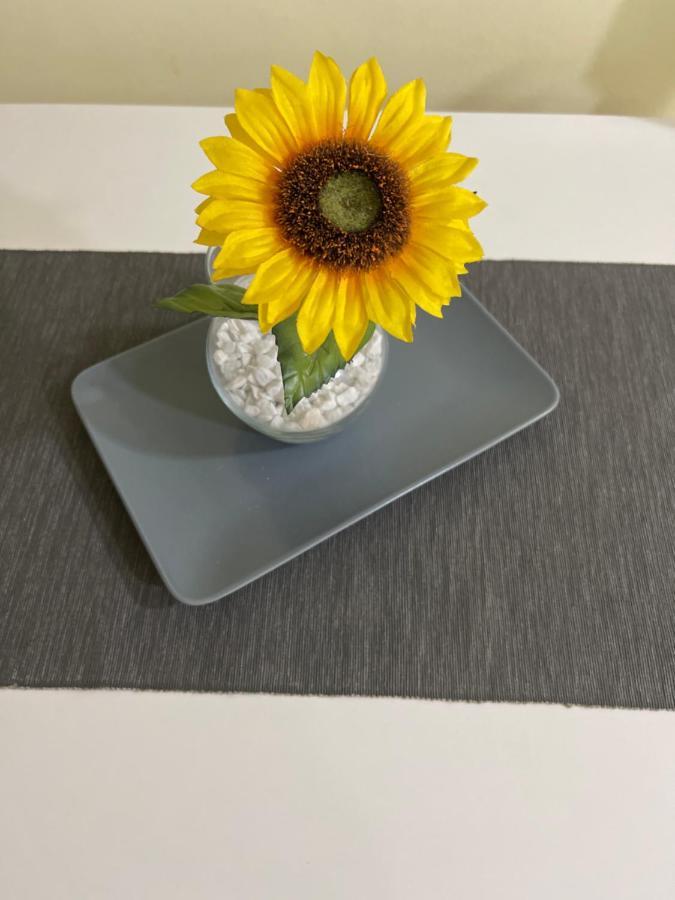 Apartment Sunflower021 ノヴィ・サド エクステリア 写真